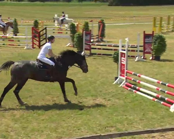 Reitturnier Bad Windsheim/Mfr. 2022