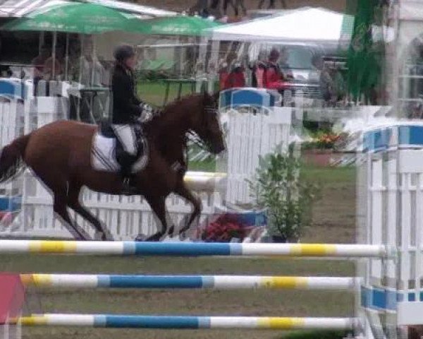 broodmare Wind Whisper (Hanoverian, 2005, from Wind Dancer)