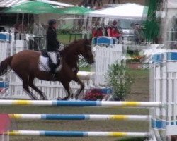 broodmare Wind Whisper (Hanoverian, 2005, from Wind Dancer)