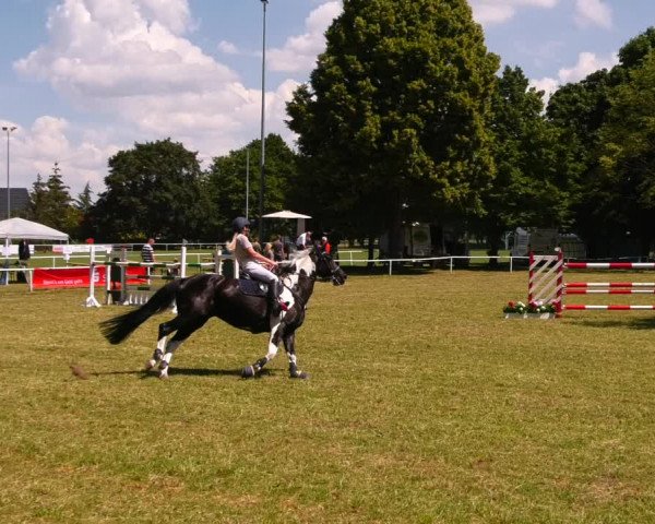Reitturnier Schwittersdorf-Beesenstedt 2022
