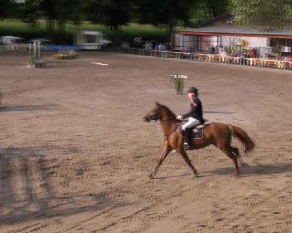 Koń skokowy Mercy 22 (Niemiecki Kuc Wierzchowy, 2005, od Medoc) - Reit- und Springturnier des LRFV Recklinghausen e.V. vom 23.-26.08.2012 25.08.2012
42 Ponyspringprüfung Kl A**
