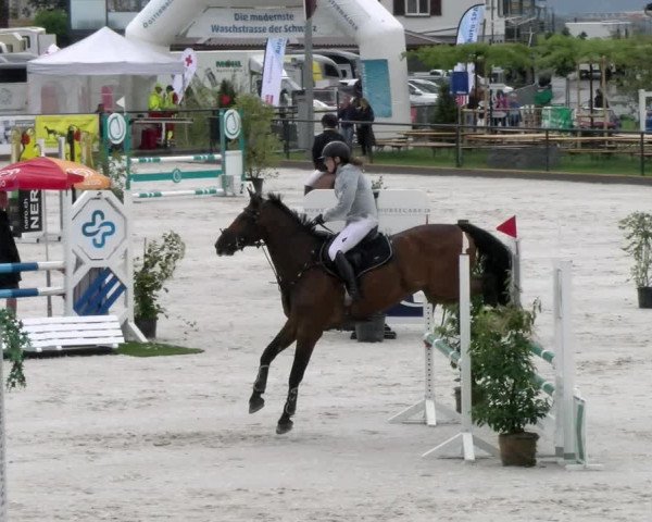 Reitturnier Gossau 2022