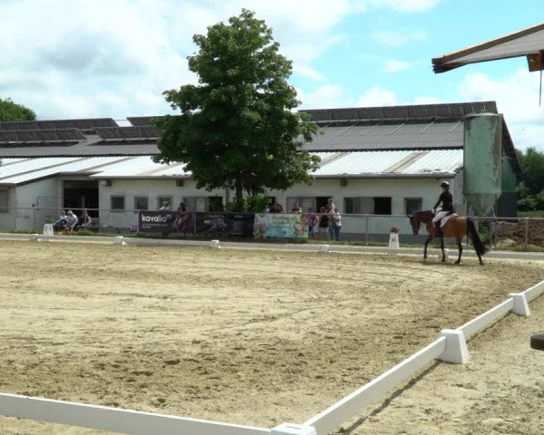 Reitturnier Bad Marienberg - OT Nisterau 2022