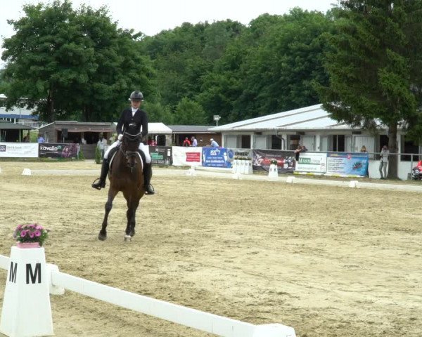Reitturnier Bad Marienberg - OT Nisterau 2022