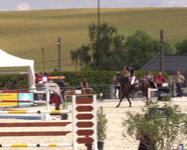 Reitturnier Immenrode 2022