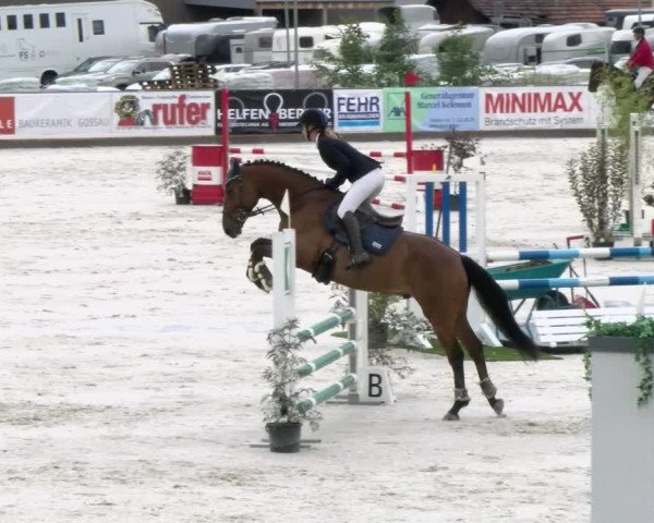 Reitturnier Gossau 2022