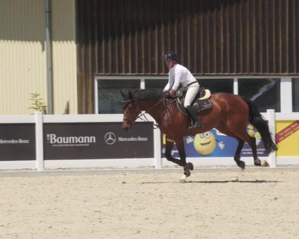 Reitturnier Memmingen/Schw. 2022
