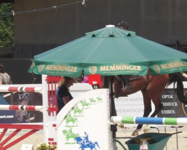Reitturnier Memmingen/Schw. 2022