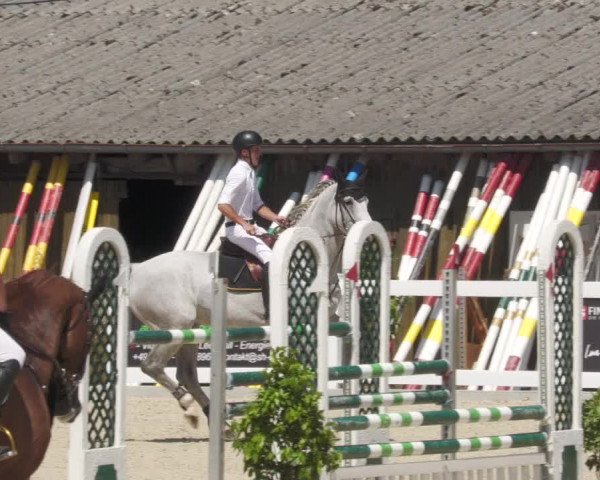 Reitturnier Memmingen/Schw. 2022