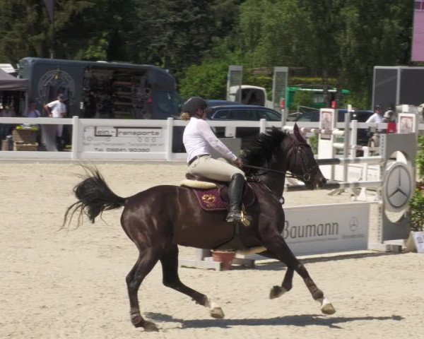 Reitturnier Memmingen/Schw. 2022