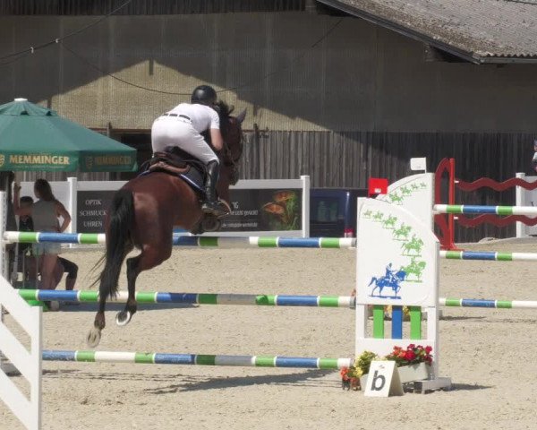 Reitturnier Memmingen/Schw. 2022