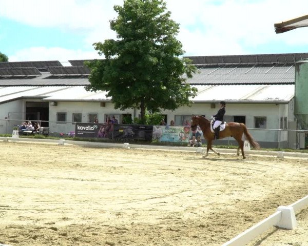 Reitturnier Bad Marienberg - OT Nisterau 2022