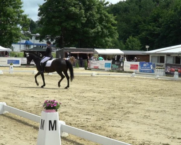 Reitturnier Bad Marienberg - OT Nisterau 2022