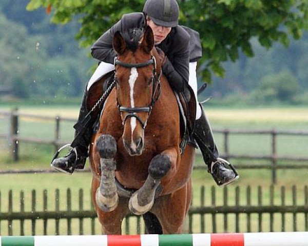 jumper Carinjo K (Westphalian, 2006, from Concreto 174 FIN)