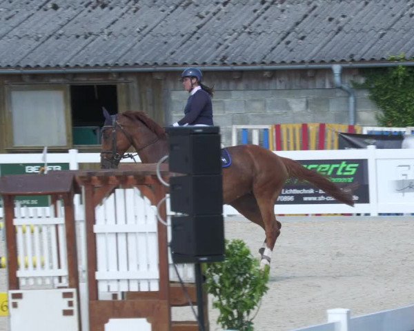 Reitturnier Memmingen/Schw. 2022