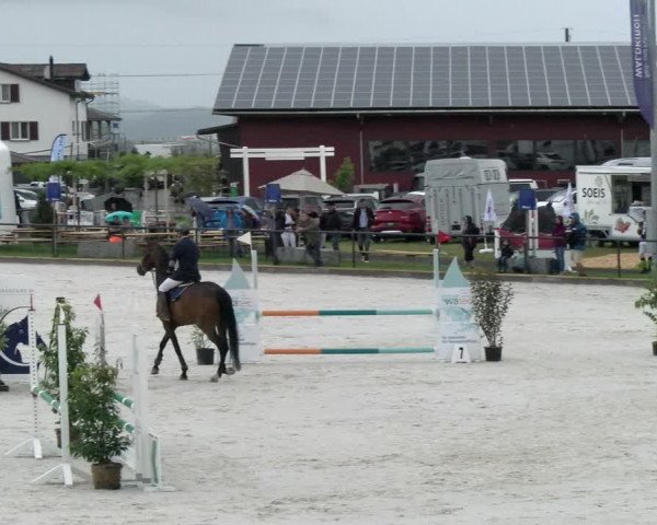 Reitturnier Gossau 2022