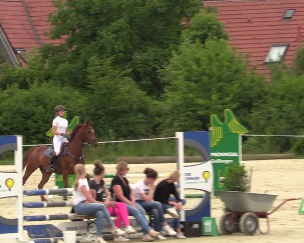 Reitturnier Ascheberg 2022