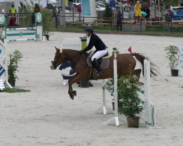Reitturnier Gossau 2022