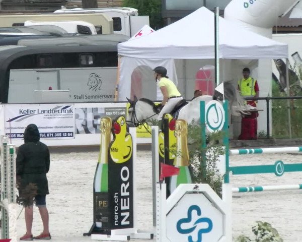 Reitturnier Gossau 2022