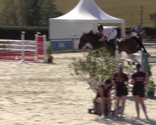 Reitturnier Immenrode 2022