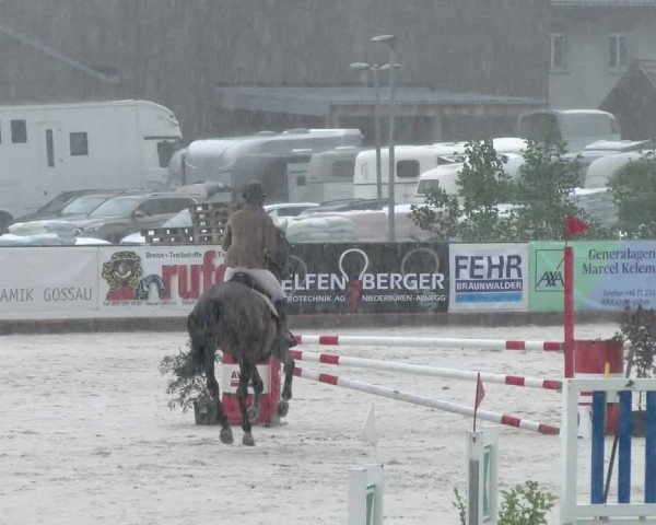 Reitturnier Gossau 2022