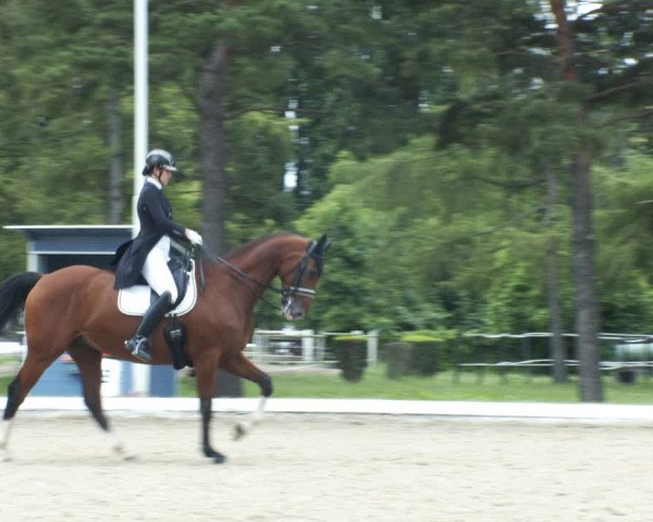 Reitturnier W, Wien-Freudenau/ASKÖ 2022