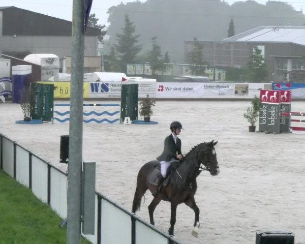 Reitturnier Gossau 2022