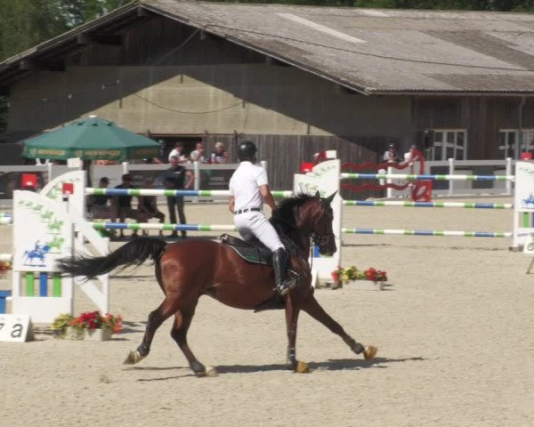 Reitturnier Memmingen/Schw. 2022
