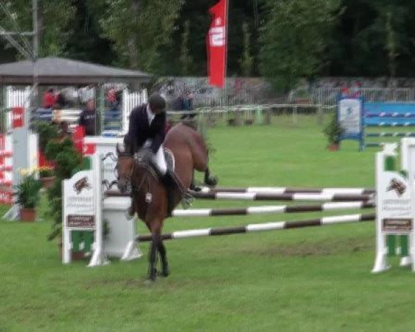 jumper Askaro 3 (German Sport Horse, 2008, from Asculep)