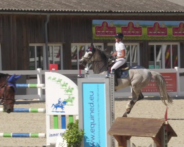 Reitturnier Memmingen/Schw. 2022