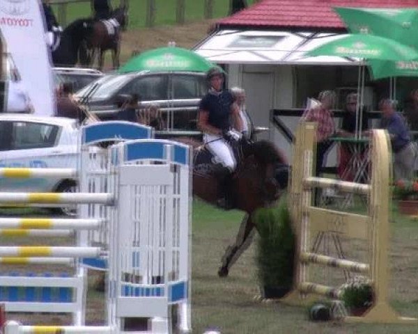 Springpferd Bini-Balou (Oldenburger, 2003, von Balou du Rouet) - Nienburg 2012
Samstag, den 25.08.2012
04.1. Springprüfung Kl.M**
