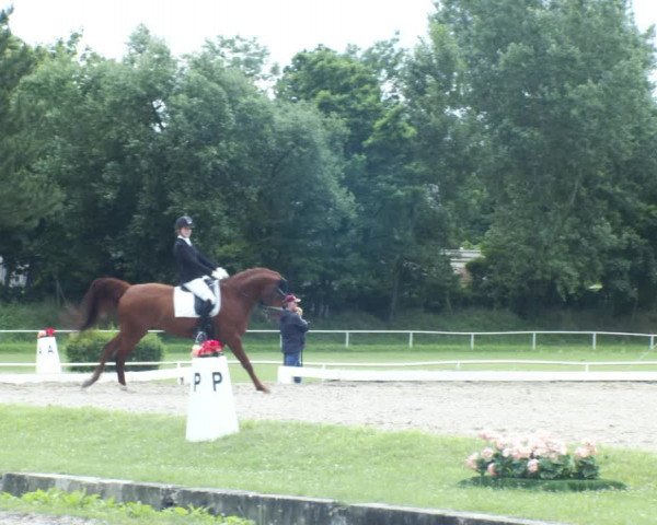 Reitturnier W, Wien-Freudenau/ASKÖ 2022