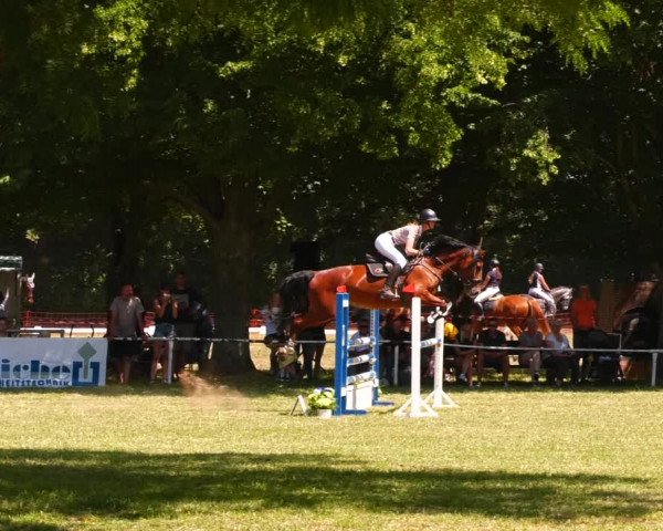 Reitturnier Schwittersdorf-Beesenstedt 2022