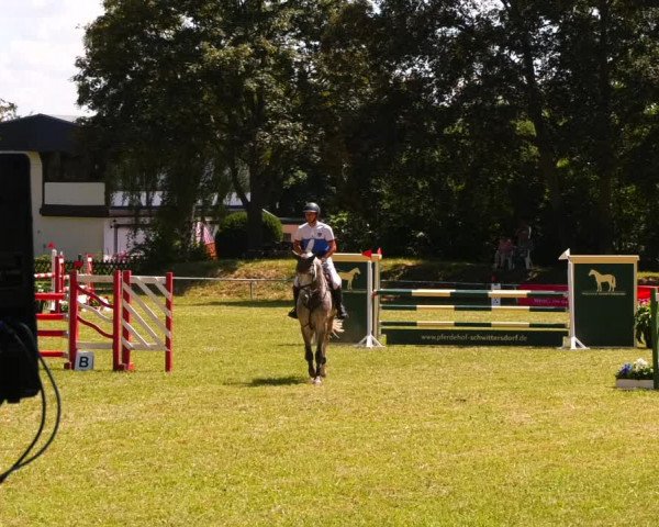 Reitturnier Schwittersdorf-Beesenstedt 2022