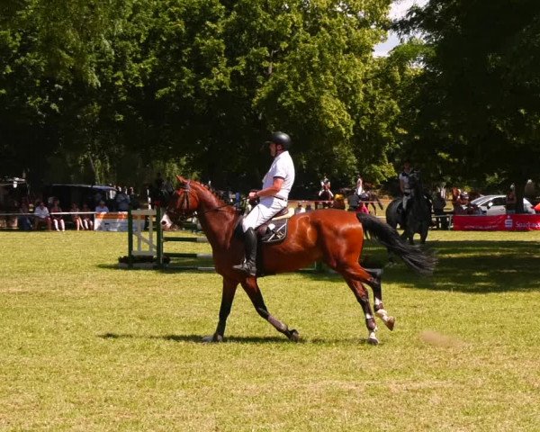 Reitturnier Schwittersdorf-Beesenstedt 2022