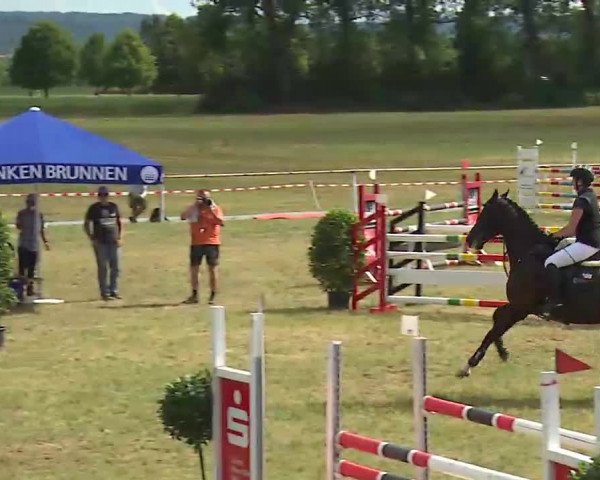 Reitturnier Bad Windsheim/Mfr. 2022