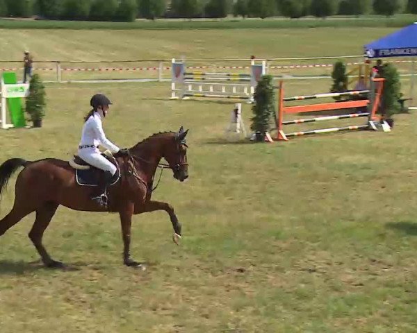 Reitturnier Bad Windsheim/Mfr. 2022