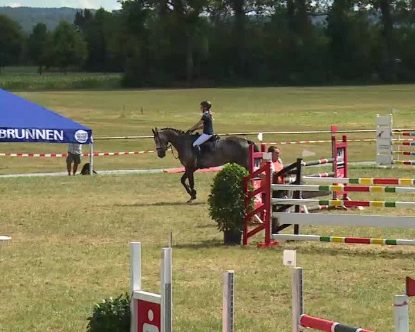 Reitturnier Bad Windsheim/Mfr. 2022