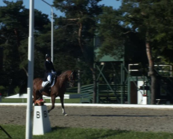 Reitturnier W, Wien-Freudenau/ASKÖ 2022