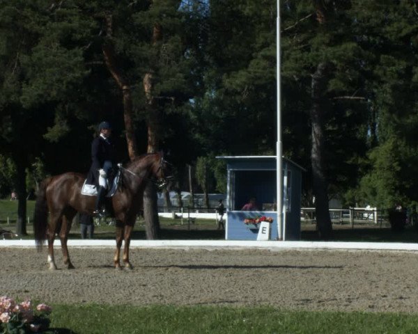Reitturnier W, Wien-Freudenau/ASKÖ 2022