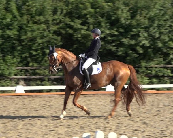 Reitturnier Schillerslage 2022