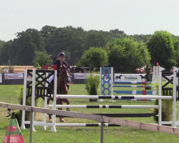 Reitturnier Schillerslage 2022