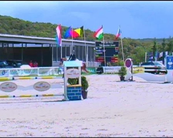 Cavallo da salto Chocolate 68 (Holsteiner, 2007, di Contender)
