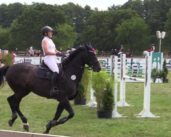 Reitturnier Schillerslage 2022