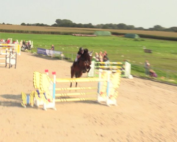 Springreitturnier Hohburg 2021