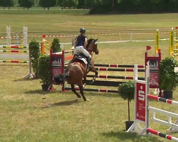 Reitturnier Bad Windsheim/Mfr. 2022