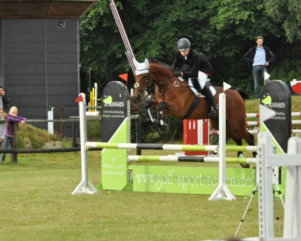 jumper Hoogland (Hanoverian, 2004, from His Highness)