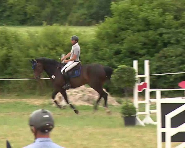 Reitturnier Bad Windsheim/Mfr. 2022