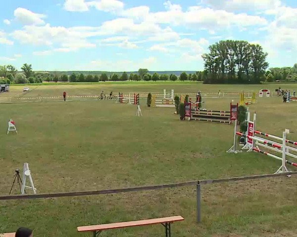 Reitturnier Bad Windsheim/Mfr. 2022