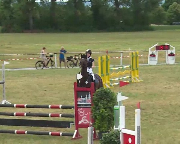 Reitturnier Bad Windsheim/Mfr. 2022